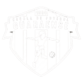 logo guaraense